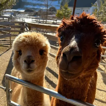 Kokl - Adults Only 公寓 拉多夫吉卡