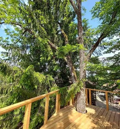 Apartment Kokl - Adults Only