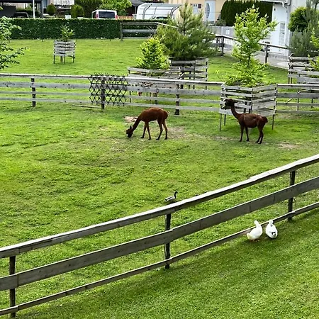 Kokl - Adults Only 公寓 拉多夫吉卡