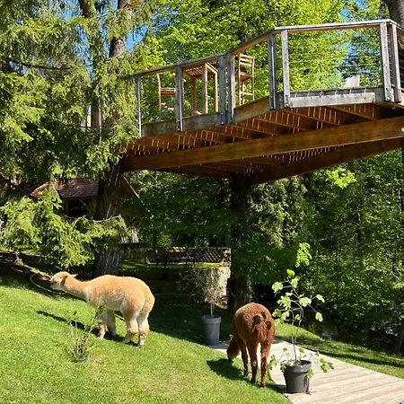 Kokl - Adults Only Apartment Radovljica