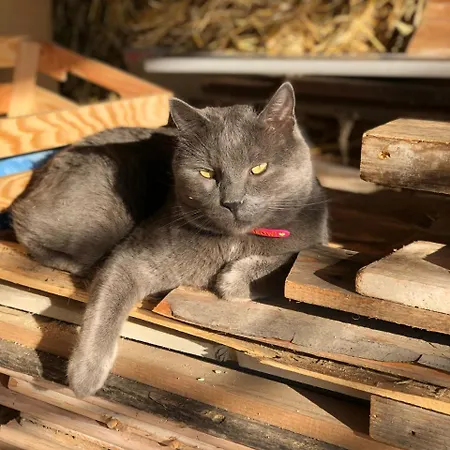 Kokl - Adults Only 公寓 *