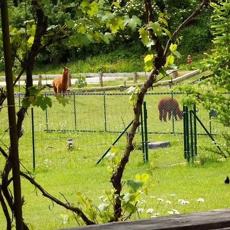 公寓 Kokl - Adults Only 拉多夫吉卡