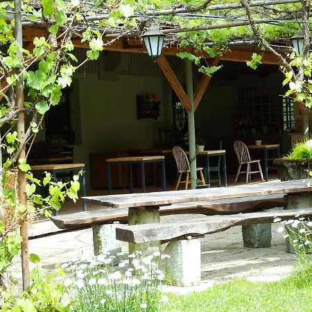 Kokl - Adults Only *