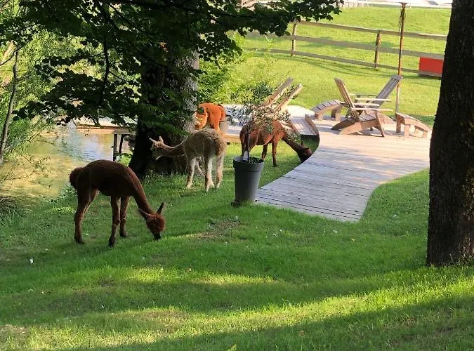 Kokl - Adults Only Appartement *