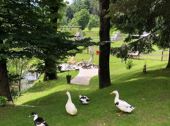 Appartamento Kokl - Adults Only