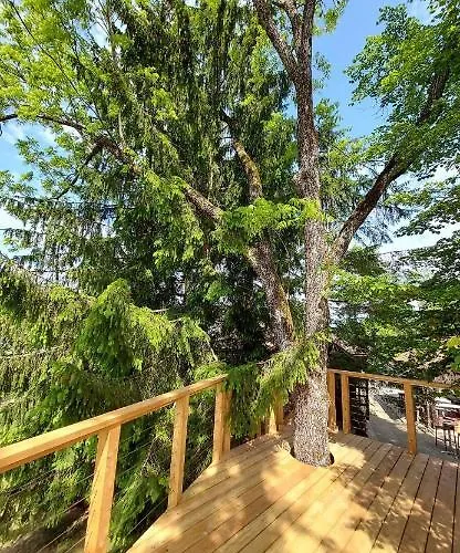 Appartement Kokl - Adults Only