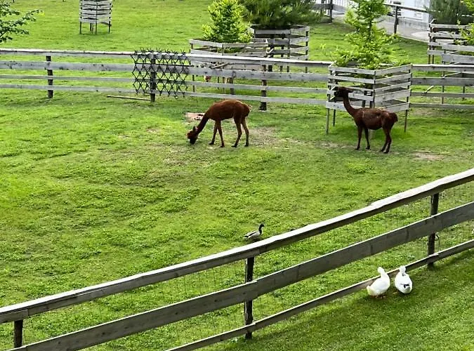 Kokl - Adults Only Appartement Radovljica