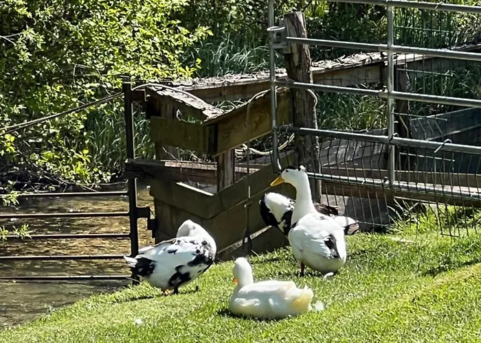 Kokl - Adults Only דירה