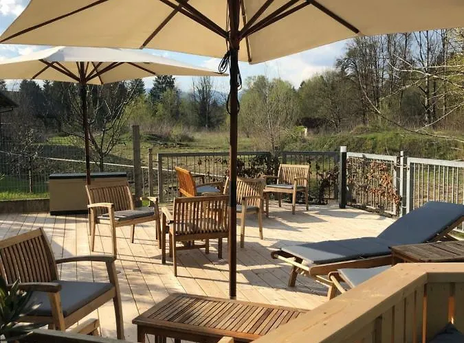 Kokl - Adults Only *