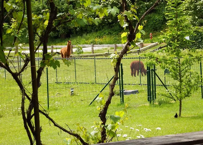 Appartement Kokl - Adults Only Radovljica