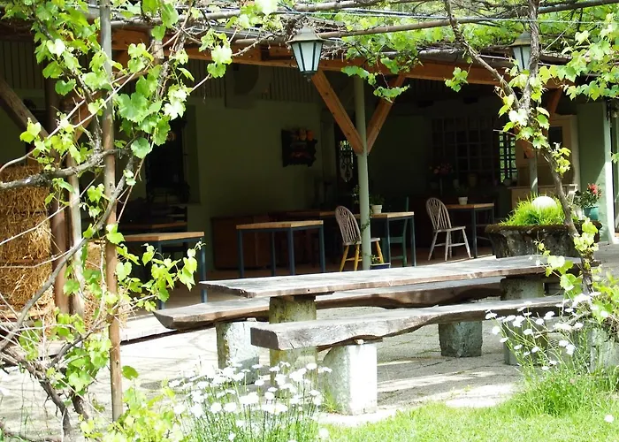 Kokl - Adults Only *