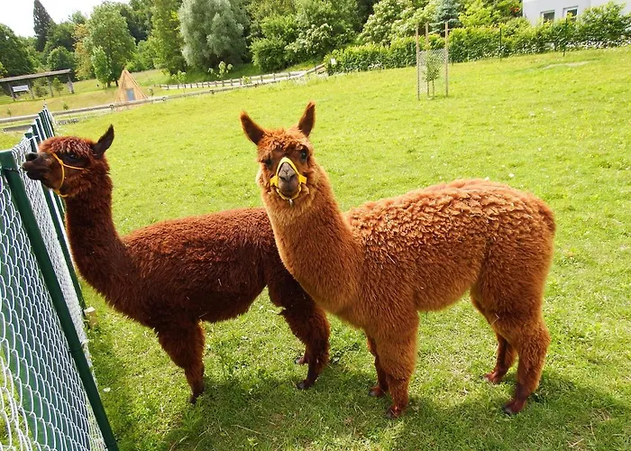 Kokl - Adults Only דירה רדובליצ'ה